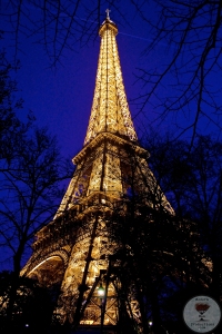Eiffel Tower In the Evening